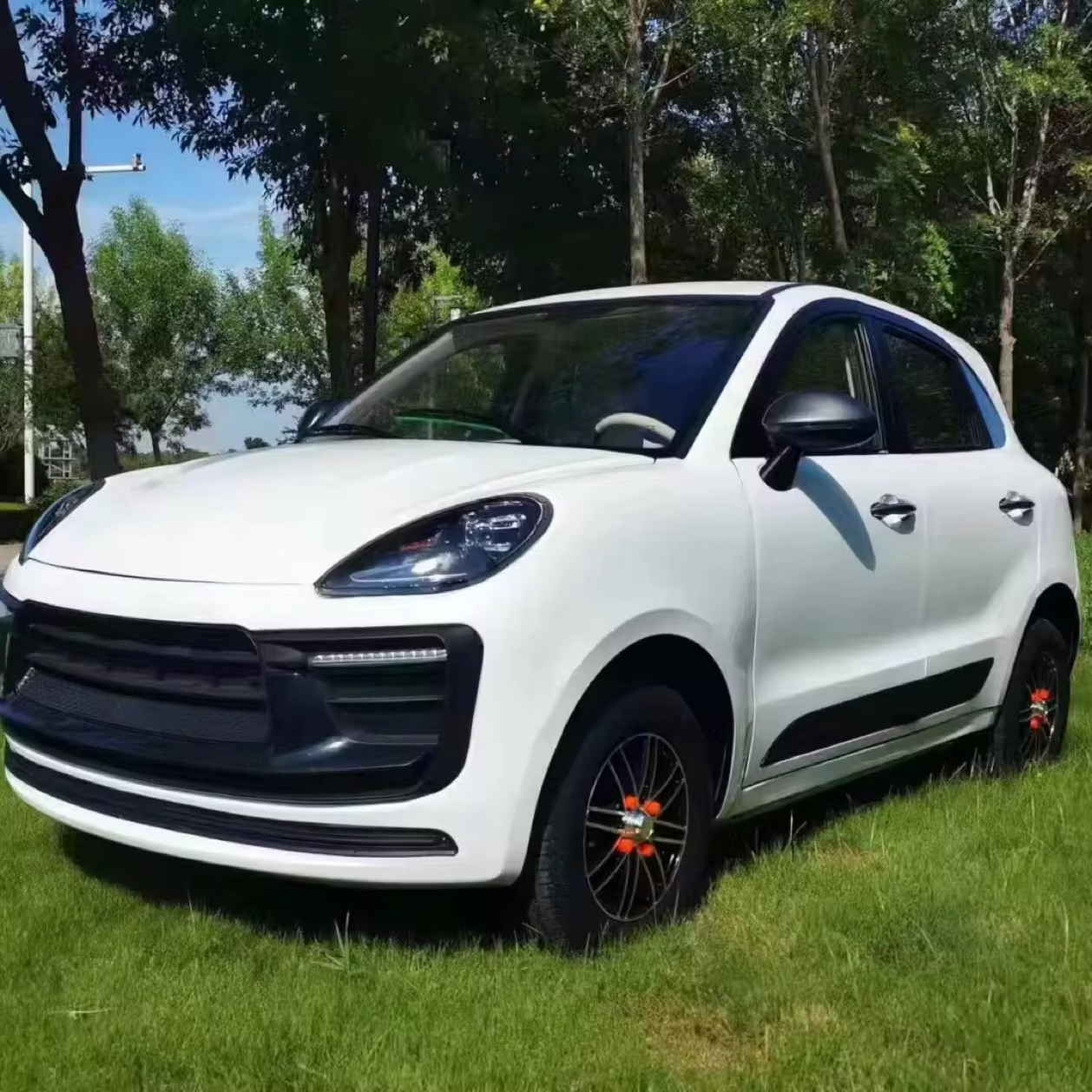 Low-speed style electric vehicle LC- CAYE NNE