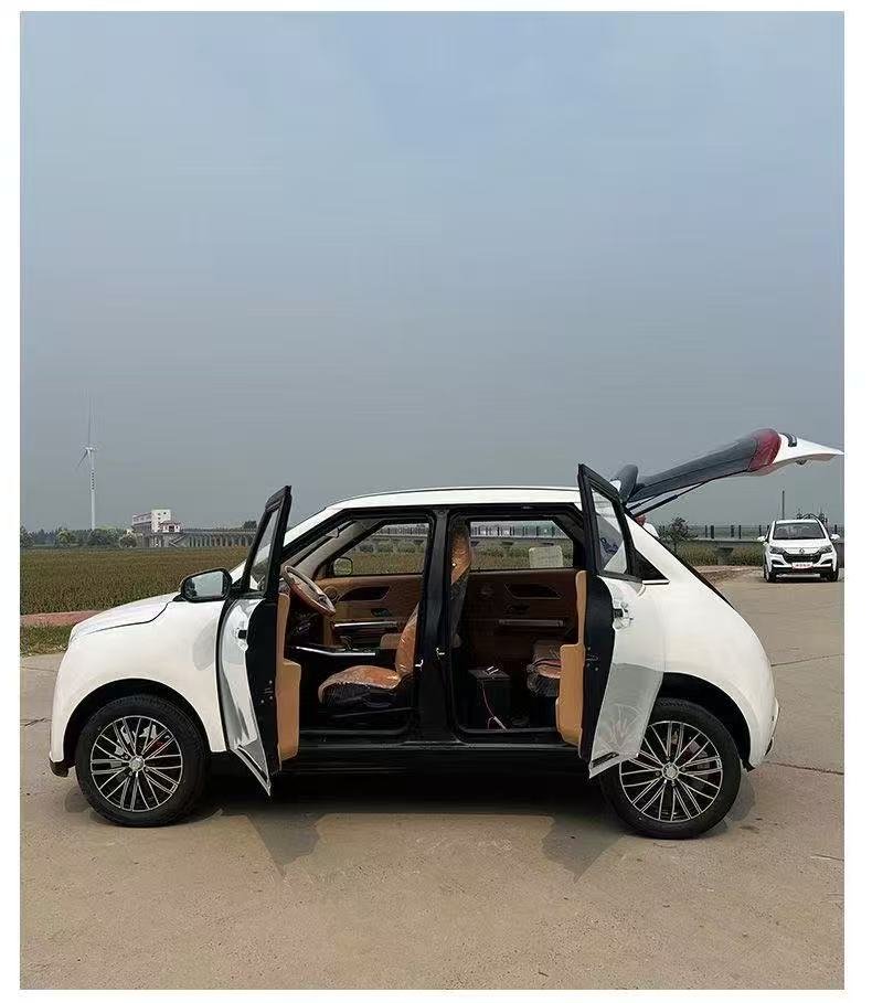 Low-speed style electric vehicle LC-DL