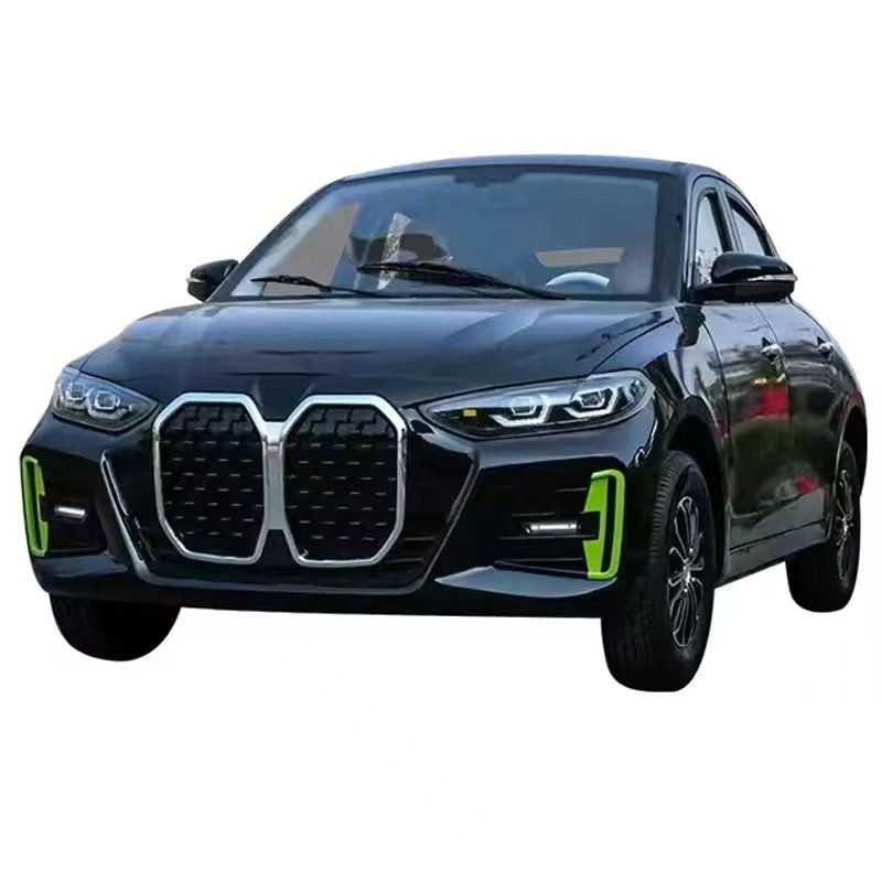 Low-speed style electric vehicle LC-BWM