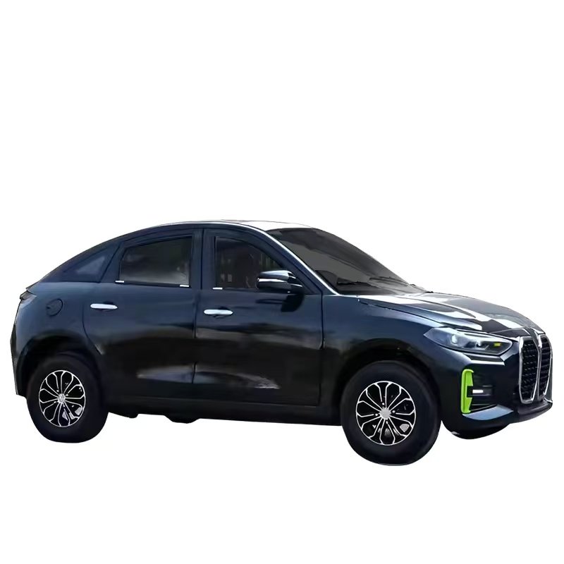 Low-speed style electric vehicle LC-BWM