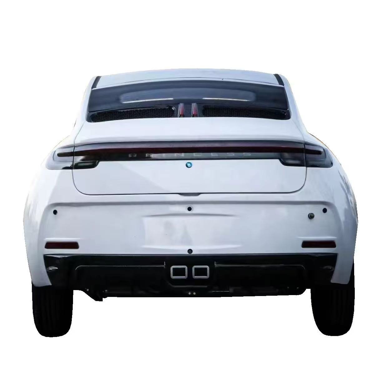 Low-speed style electric vehicle LC-BWM