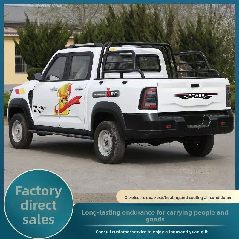 Low-speed style electric vehicle LC-DRAGON